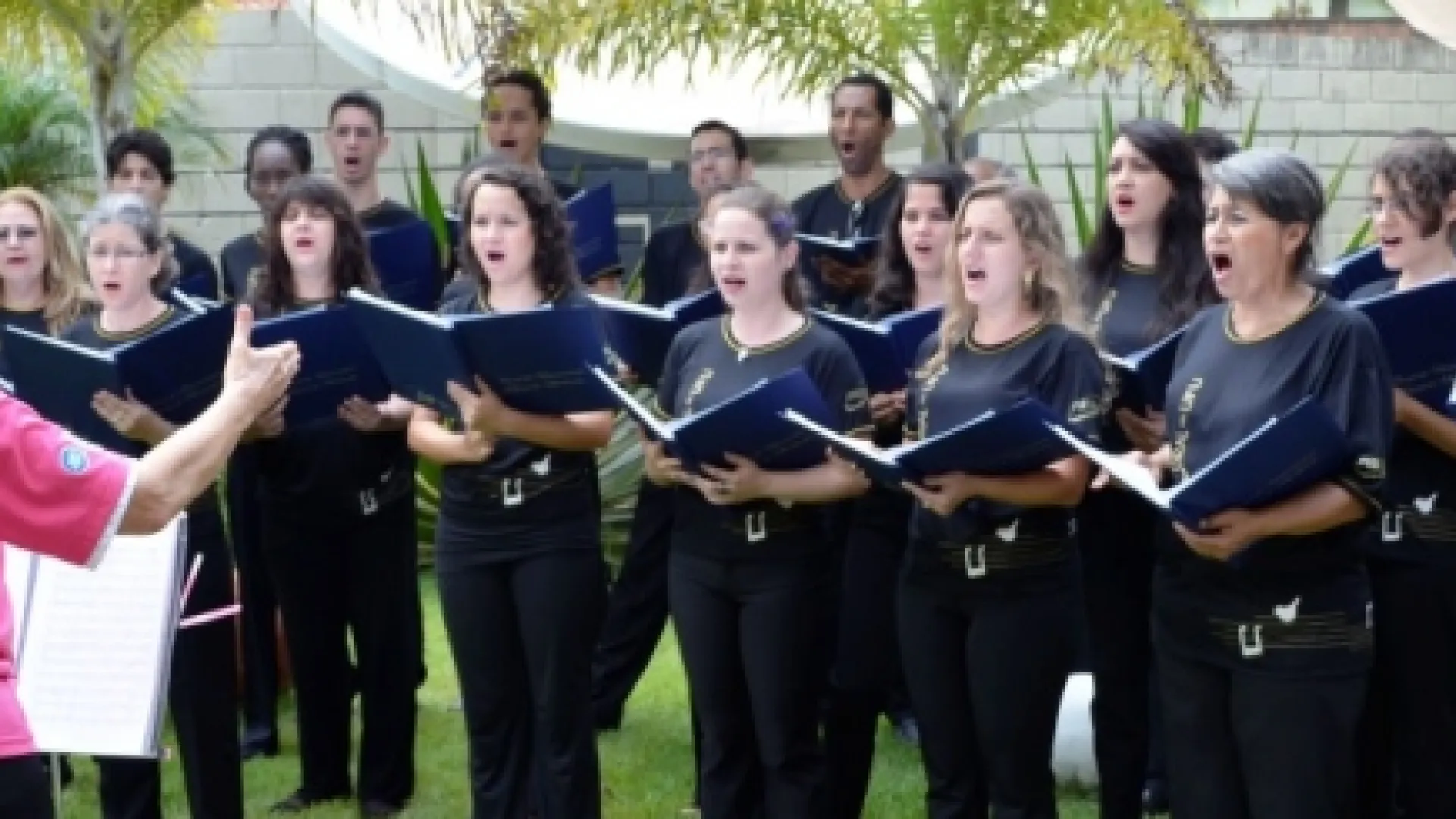 Foto do Coral da 55BET