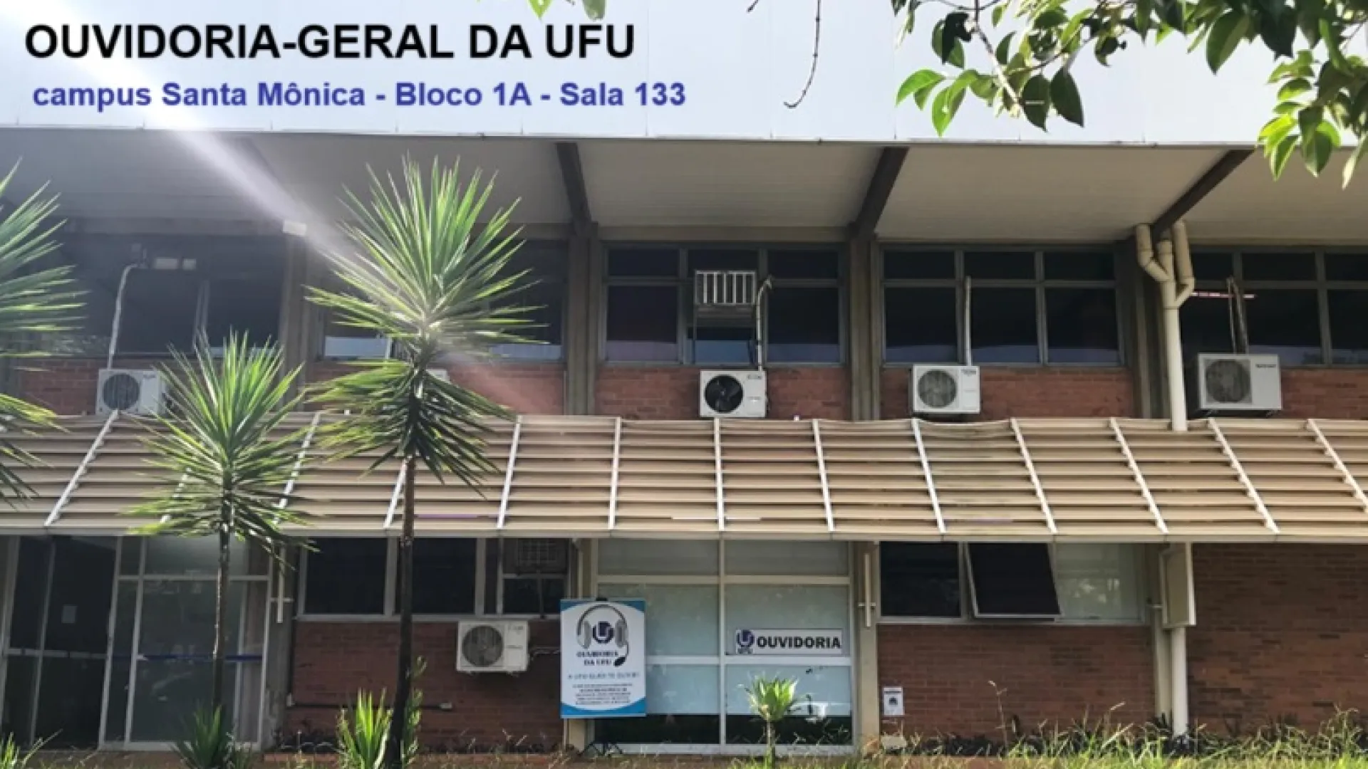 Ouvidoria-Geral da 55BET